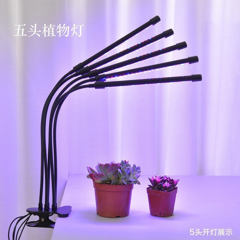 Led grow light with clip, timer, full spectrum sunlight simulation, for succulents, flowers, herbs, seedlings, and supplemental lighting