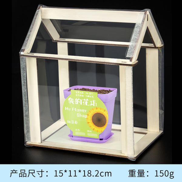 Scientific experiment DIY small greenhouse plant flower workshop sunshine small greenhouse children's handmade technology small production material package