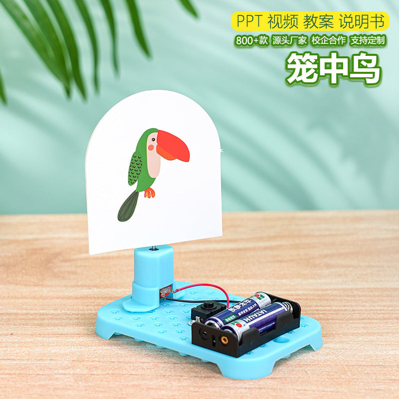 Electric cage bird, technology small production, handmade DIY student invention, visual stay puzzle science experiment