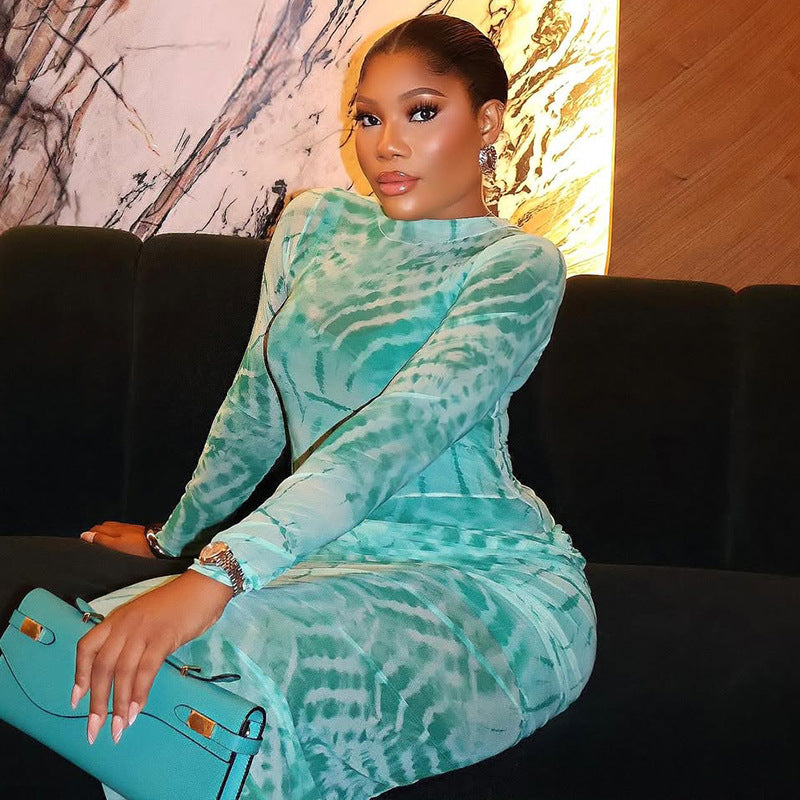 European and american style cross-border printed mesh women's dress - fitted waist, bodycon, high neck, fashionable long sleeve, elegant maxi dress