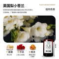 Incense refill five-star hotel white tea fragrance room perfume fragrance 500ml fireless aromatherapy essential oil