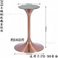 Rose gold brushed chassis diameter 500