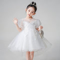 Girls' train dress, stylish children's princess dress, new baby catwalk piano performance clothes, in stock wholesale