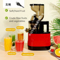 Sl-1 red slag juice separation (us standard 110v plug)