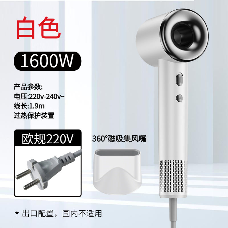 hair dryer high-speed household negative ion hair care hair dryer high power quick-drying leafless hair damage wholesale