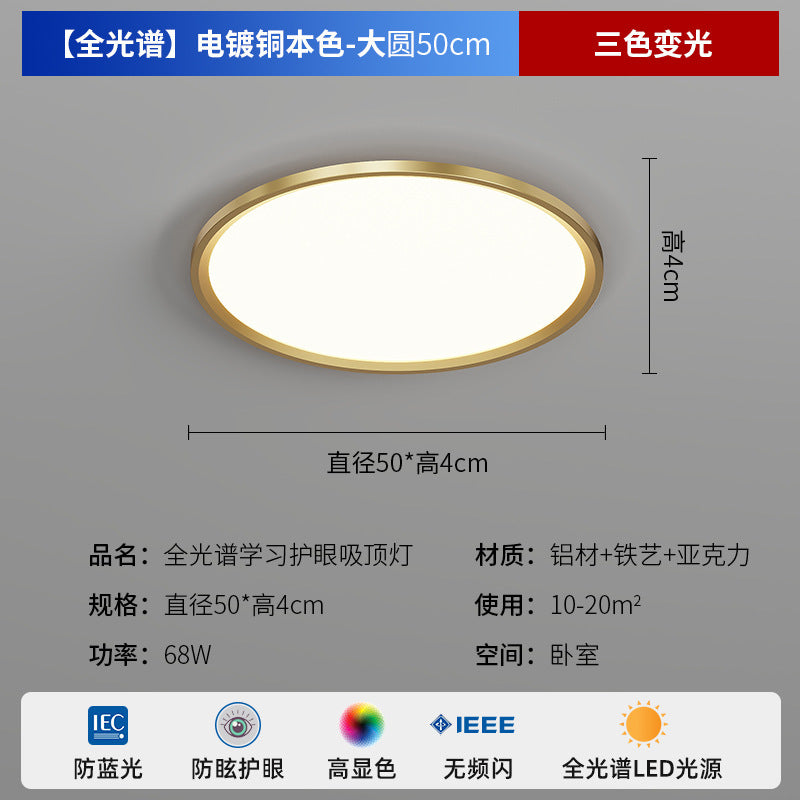 Zhongshan Modern Simple Living Room Light Ceiling Light 2025 New Puri Full Spectrum Eye Protection Bedroom Room Lighting