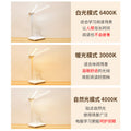 Double-head desk lamp, dimmable, foldable, rechargeable/plug-in led night light, student/child dormitory reading bedside lamp - wholesale