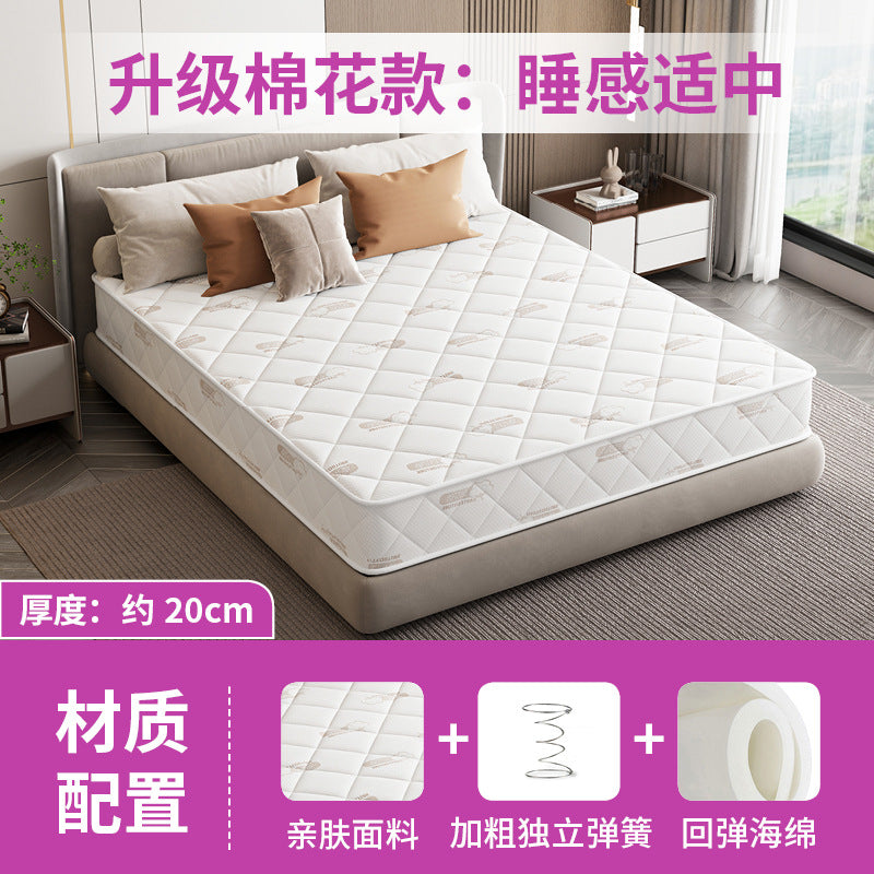 Simmons mattress soft mattress household 1.8 meters 1.5m economical coconut palm hard mattress independent spring mattress 20cm thick