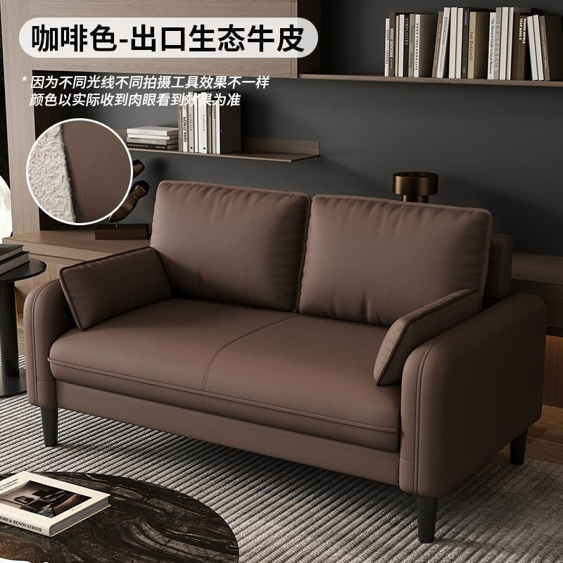 Small apartment sofa, living room sofa, apartment light luxury sofa, rental apartment sofa, lounge area sofa, clothing store sofa, homestay reception sofa