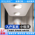 Entryway lights, hallway lights, corridor lighting fixtures - 2026 new small-sized ceiling lights for entryways and foyers