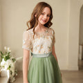 Hot-selling girls' summer dresses for export: children's mesh embroidered princess dresses, new chinese style ancient style long gowns