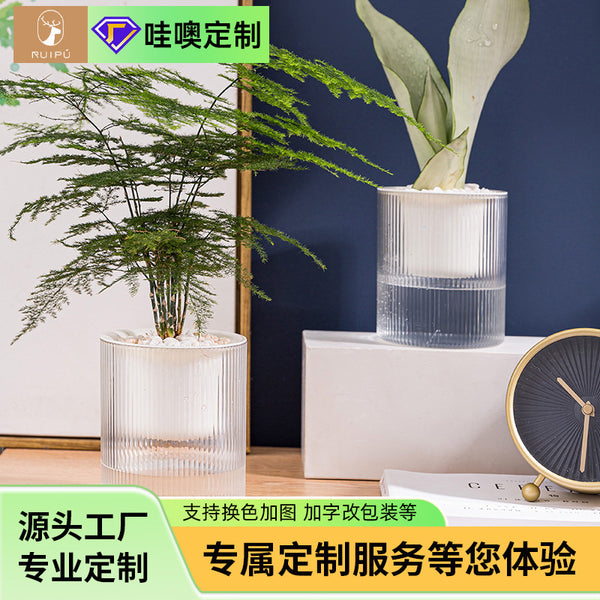 10CM caliber lazy green dill automatic water absorption free water storage small flower pot transparent hydroponic plastic green basket special