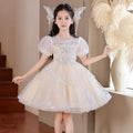Girls' long formal dress - new  collection - mesh flower girl dress - wedding, piano recital, and runway outfit - children's dress