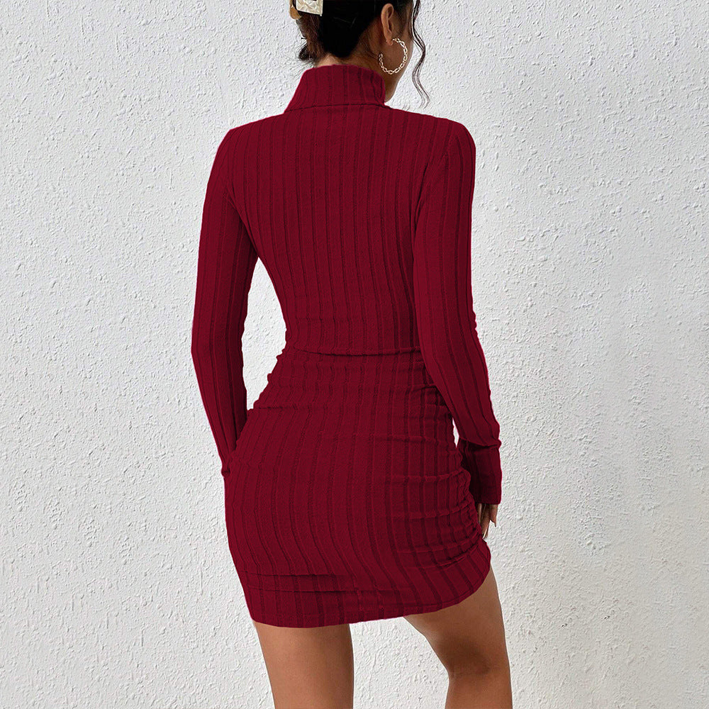cross-border women's fashion: european and american style, mature woman's burgundy dress, autumn/winter minimalist high neck versatile mini dress