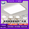 2025 new arrival: modern minimalist ceiling lights for living rooms - complete home lighting collection for master bedrooms, dining rooms, and more - zhongshan lighting showcase