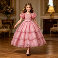 new arrival children's dress princess dress girl long dress short sleeve mesh tutu skirt lace costume in stock