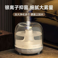 Humidifier dormitory for home bedroom pregnant women silent spray air office living room air humidifier yancai