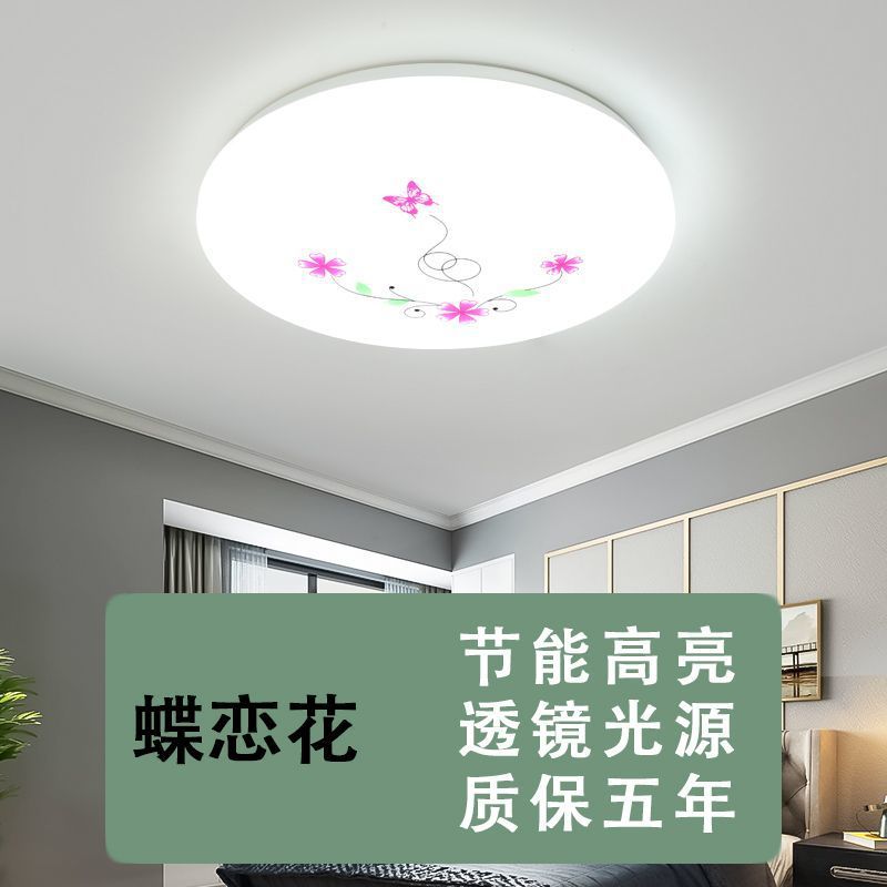 Led ceiling light bedroom lamp home round study minimalist living room lighting fixture dining room hallway kitchen bathroom lighting