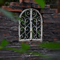 Garden courtyard iron fence small fence climbing rack flower bracket outdoor courtyard plant rose line lotus climbing flower rack