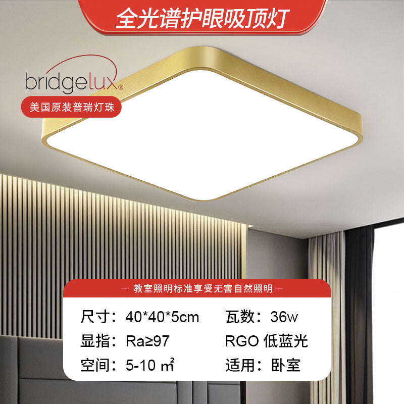 LED simple ceiling light bedroom light 2025 new master bedroom advanced lighting living room light Zhongshan lighting