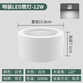 White shell - 4inch -12w-white light 6000k
