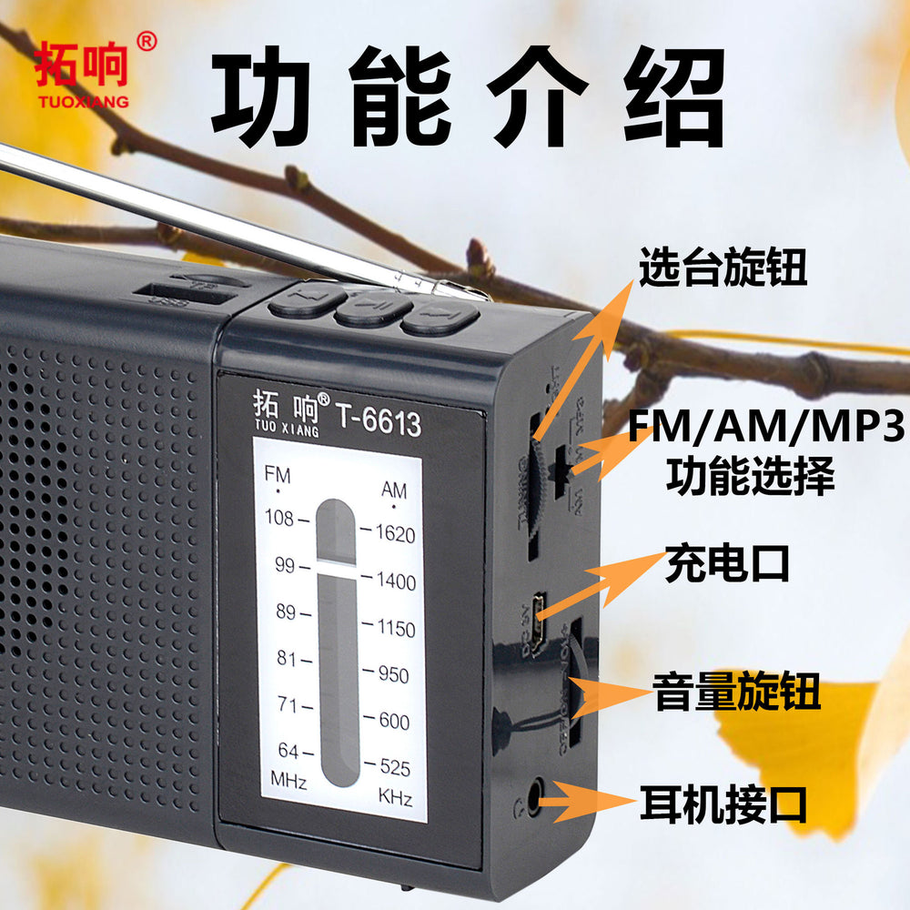 Tuoxiang t-6613 high-sensitivity two-band plug-in card radio for the elderly with high volume and simple operation