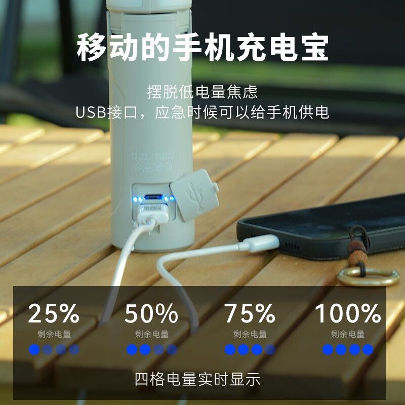 Walson manufacturer LT300 camping kerosene lamp outdoor ambient light tent light camp canopy camping light