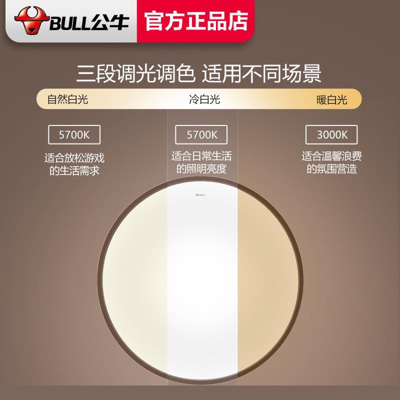 Bull Langchen Ceiling Light LED Lighting Lighting Living Room Bedroom Light Rectangle Round Nordic Modern Simple Light