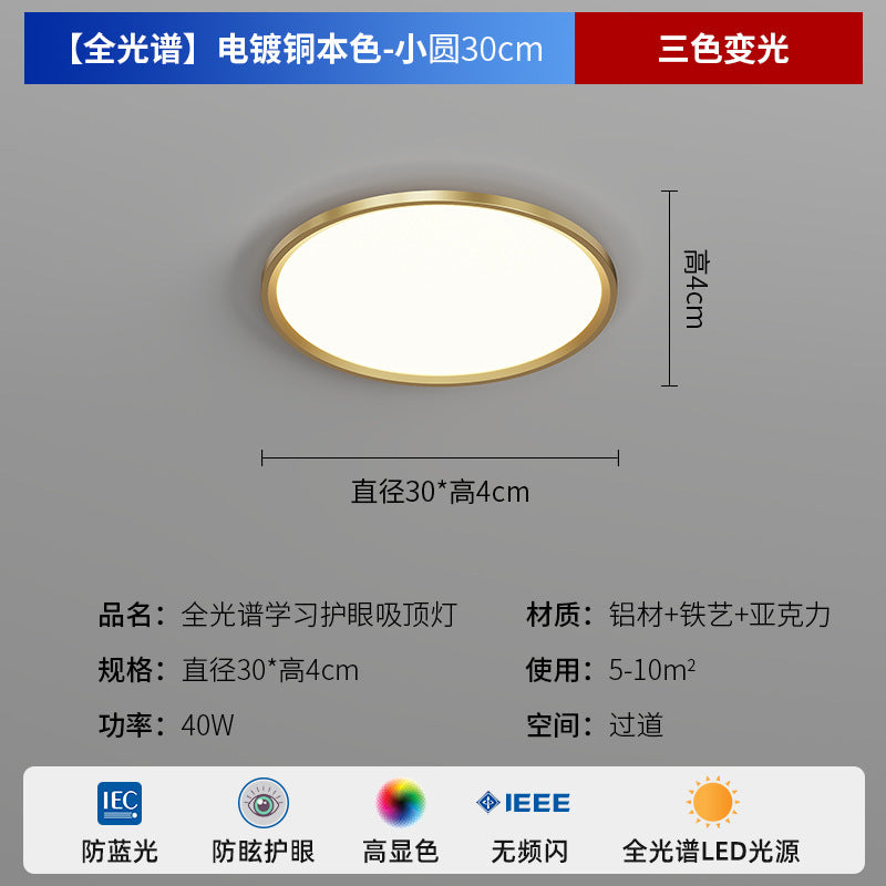 Zhongshan Modern Simple Living Room Light Ceiling Light 2025 New Puri Full Spectrum Eye Protection Bedroom Room Lighting