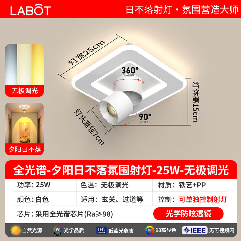 Aisle lights, corridor lights, surface-mounted projection, never-sunset atmosphere lights, entrance hall, high-end balcony led ceiling lights