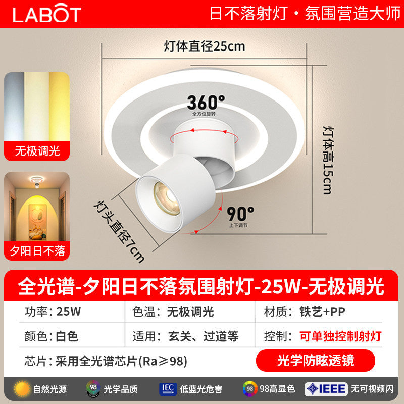 Aisle lights, corridor lights, surface-mounted projection, never-sunset atmosphere lights, entrance hall, high-end balcony led ceiling lights
