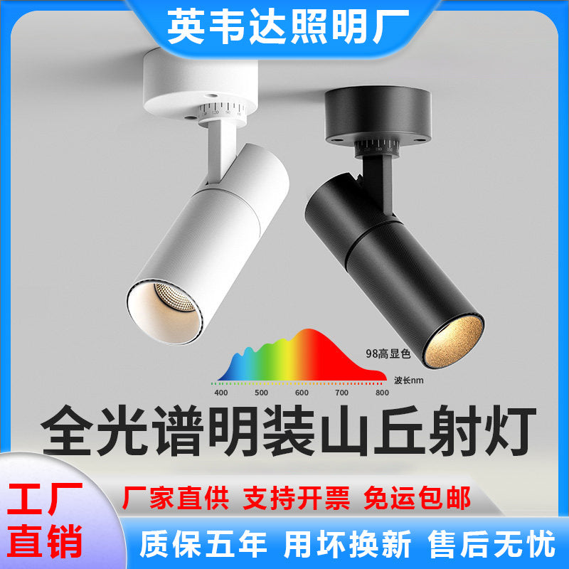Surface-mounted hill spotlight with adjustable angle foldable ceiling-mounted wall wash light full spectrum living room high display wall wash light