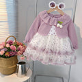 【dropshipping】new girls' dresses  spring/autumn kids' chic formal dresses baby princess skirts princess style