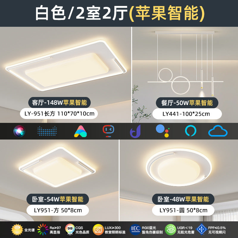 Full Spectrum Nordic Modern Simple Geometric Ceiling Light LED Eye Protection Light Luxury Bedroom Living Room Whole House Lighting Package