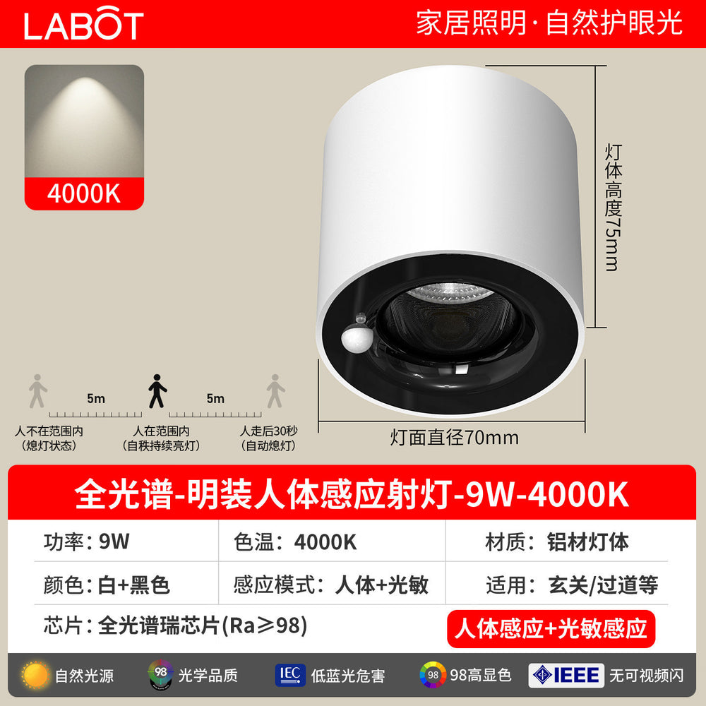 Surface-mounted human body sensor light for home corridor aisle light entrance entrance light corridor downlight infrared ceiling spotlight