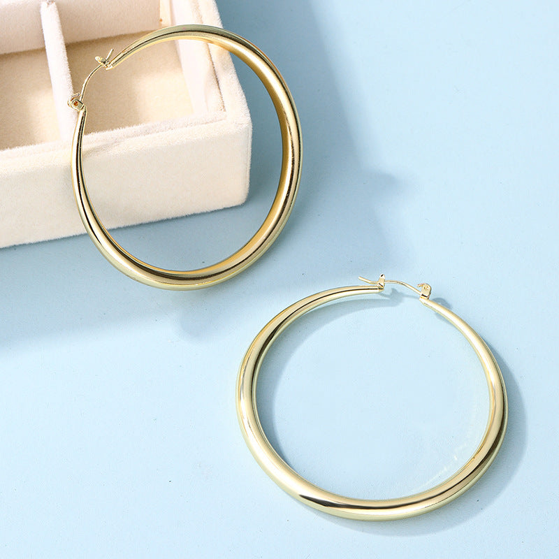 European and american cross-border e-commerce exaggerated jewelry fashion alloy circle earrings niche geometric gold stud earrings women's earrings