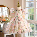 hot-selling girls' dresses, new summer collection for baby girls and toddlers, birthday and first birthday party dresses, printed princess dresses for children