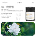 【jazz】rain and dew gardenia