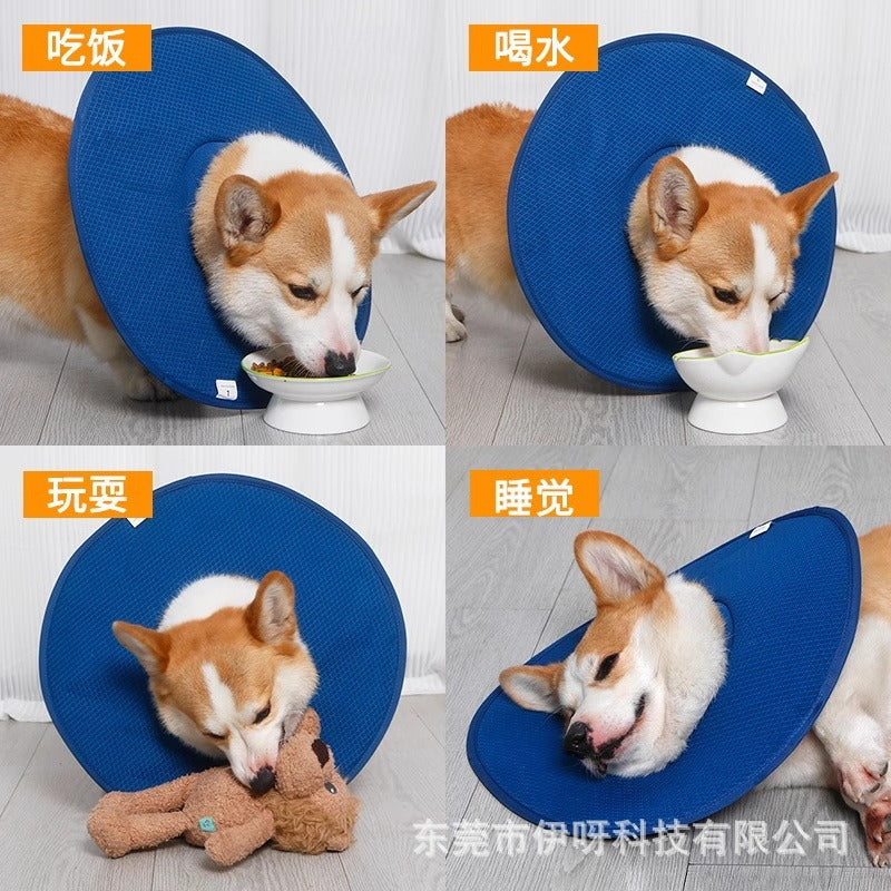 Elizabethan collar for cats and dogs, post-surgery anti-licking, anti-scratching, anti-biting collar, headgear, neutering collar, pet shield, special