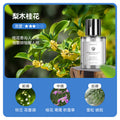 Phantom large bottle 160ml-pear wood osmanthus