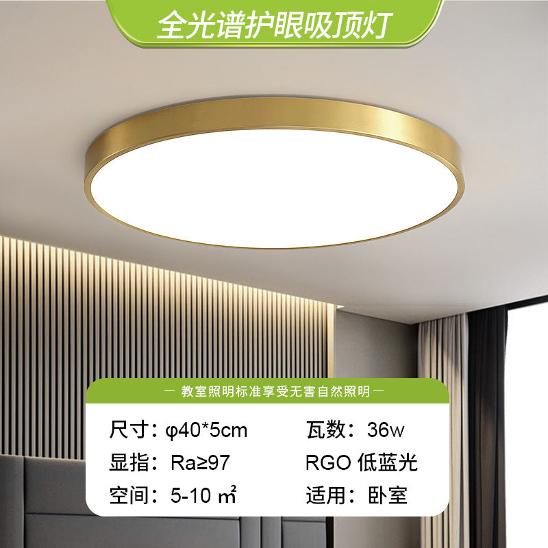 LED simple ceiling light bedroom light 2025 new master bedroom advanced lighting living room light Zhongshan lighting