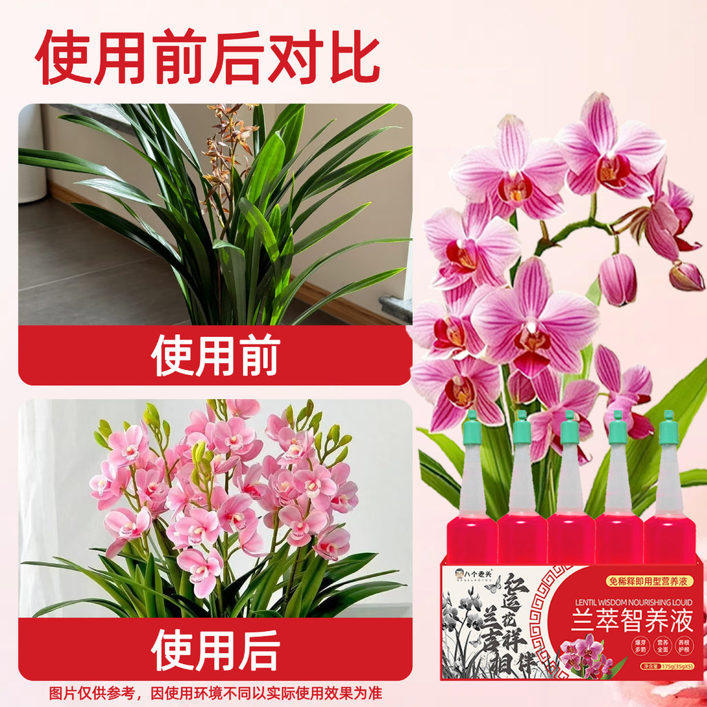 Nutrient Solution Boxed Wholesale Regulator Orchid Clivia Smart Nutrition Solution Nutrient Solution Home Gardening Orchid General Purpose