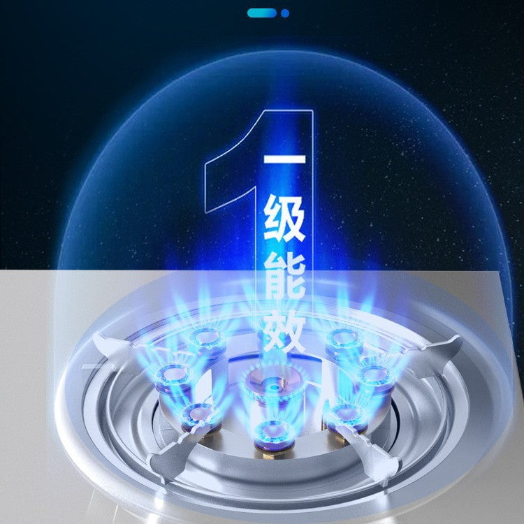 Wholesale royalstar for home gas stove desktop double stove gas stove natural gas stove liquefied gas fierce stove