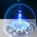 Wholesale royalstar for home gas stove desktop double stove gas stove natural gas stove liquefied gas fierce stove