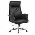 Customizable backrest fashion executive chair - ergonomic computer chair for extended sitting, home office, desk chair, manager's chair