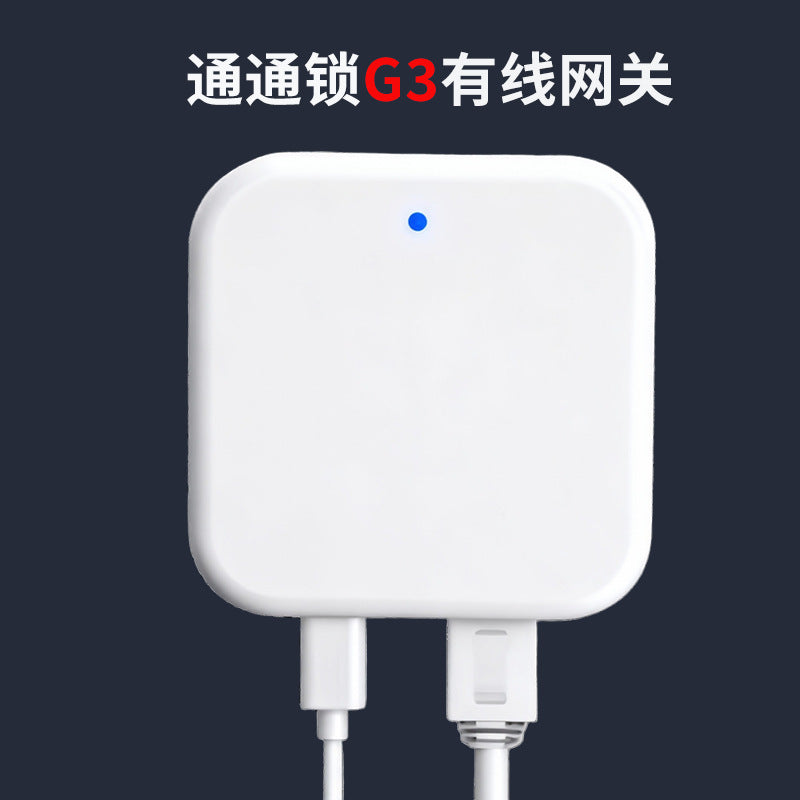 Rental house guesthouse smart lock remote fingerprint password lock hotel hotel lock anti-theft wooden door digital door lock