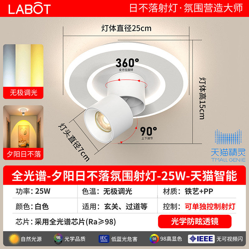Aisle lights, corridor lights, surface-mounted projection, never-sunset atmosphere lights, entrance hall, high-end balcony led ceiling lights