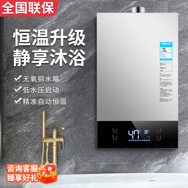 Wholesale natural gas gas water heater for home thermostatic forced exhaust liquefied gas coal gas balanced 16l zero cold water