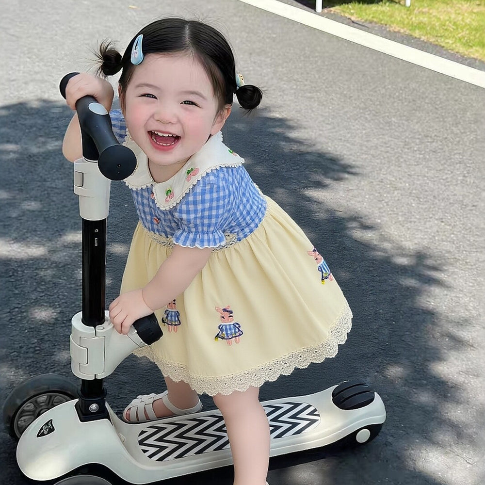 Girls' summer dress - floral lace peter pan collar, fresh blue gingham short sleeve princess dress, children's clothing dress