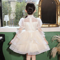 Girls' high-end dresses, cross-border foreign trade, new large skirt flower girl wedding dress, host piano performance, gorgeous in stock